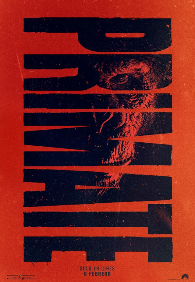 Primate